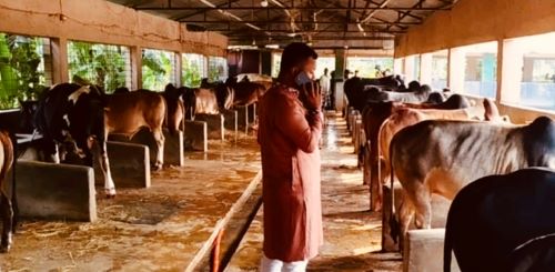 পীরগঞ্জে কোরবানির ঈদকে কেন্দ্র করে প্রস্তুত ৬৯ হাজার পশু